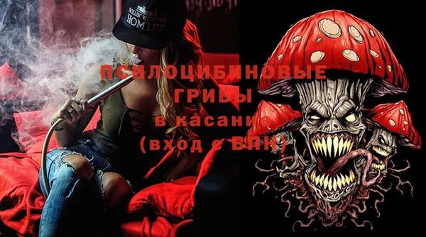 MESCALINE Аркадак