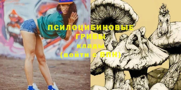 дурь Армянск