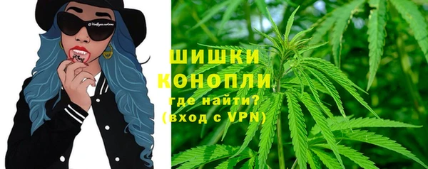 MESCALINE Аркадак