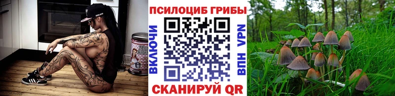 закладки  Саки  Псилоцибиновые грибы мухоморы 